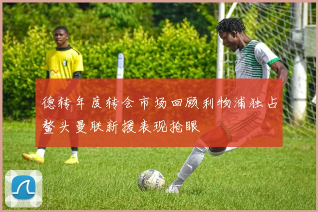德转年度转会市场回顾利物浦独占鳌头曼联新援表现抢眼