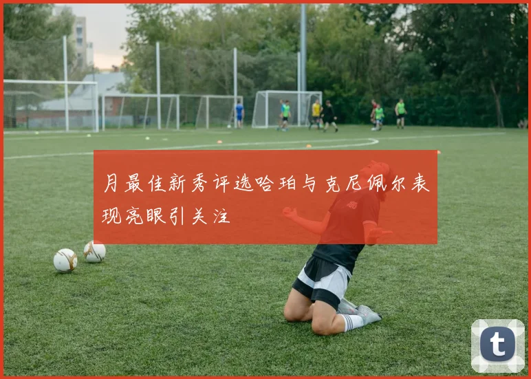 月最佳新秀评选哈珀与克尼佩尔表现亮眼引关注