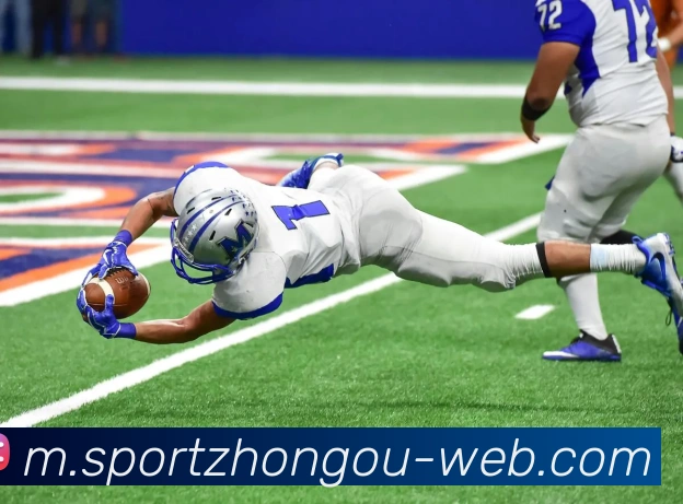 中欧体育平台生态图